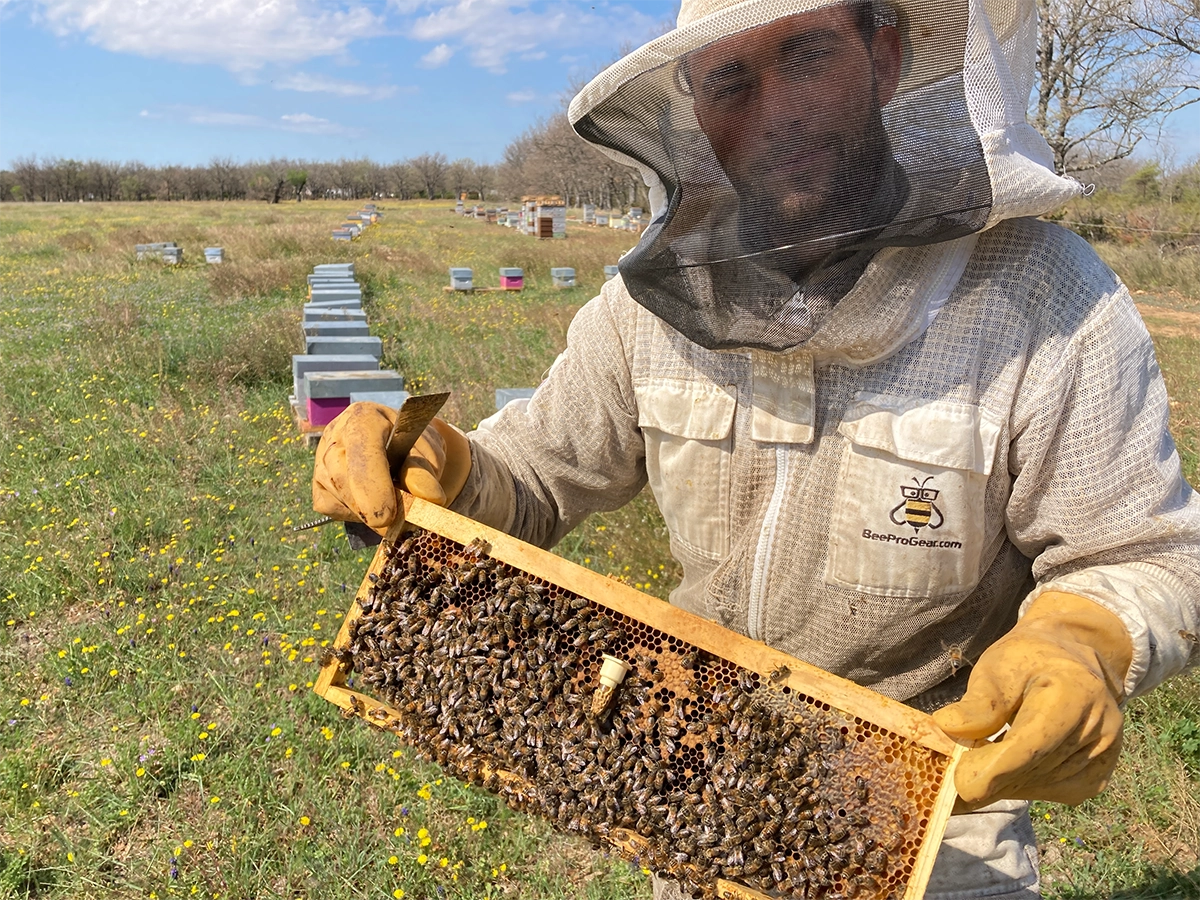 Apiculture au Domaine de la Ferme Para Loù à Sainte-Croix-du-Verdon Apiculture au Domaine de la Ferme Para Loù à Sainte-Croix-du-Verdon